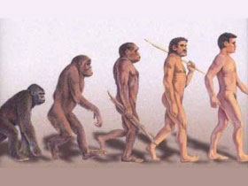 Теория эволюции Дарвина. Фото: zelen.ru