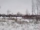 ОМОН, Химкинский лес, фото http://www.ecmo.ru