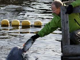 Владимир Путин кормит дельфина. Фото: с сайта gzt.ru