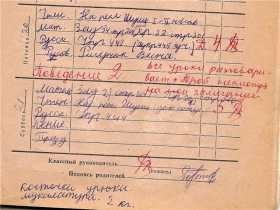Дневник с замечанием. Фото с сайта www.shkola1-8-7.narod.ru