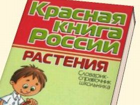 Красная книга, фото с сайта chtivo.ru