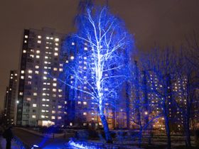 Подсветка деревьев, фото с сайта ruslightproject.com 