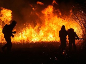 Волонтеры тушат первые пожары. Фото: Игорь Подгорный