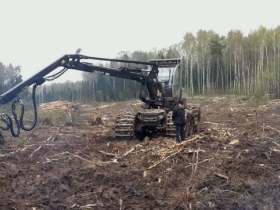 Техника на месте вырубки в Химкинском лесу. Фото: Геннадий Гудков.