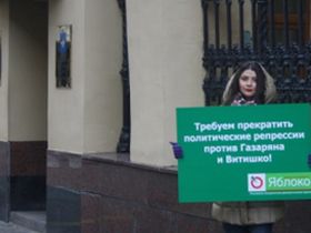 Пикет в защиту Газаряна и Витишко. Фото с сайта партии "Яблоко"