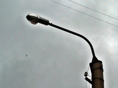 Уличный фонарь. Фото Виктора Шамаева, Каспаров.Ru