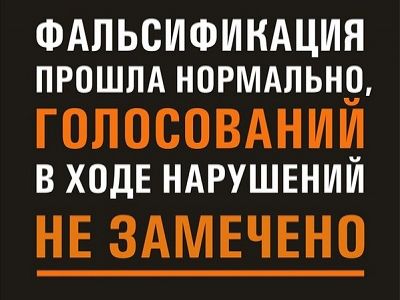 В Владивостоке отменены результаты выборов на 13 участках