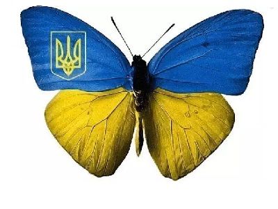 Украина, символика. Фото: olimp.ippo.kubg.edu.ua