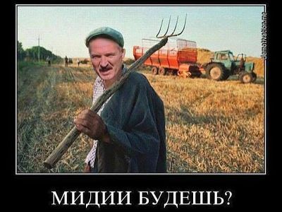 Лукашенко и санкционка (демотиватор). Источник - demotivation.me