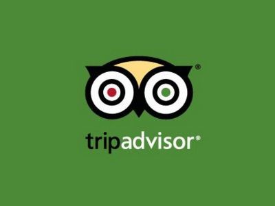 TripAdvisor, логотип компании