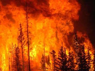 Лесной пожар в Бурятии.