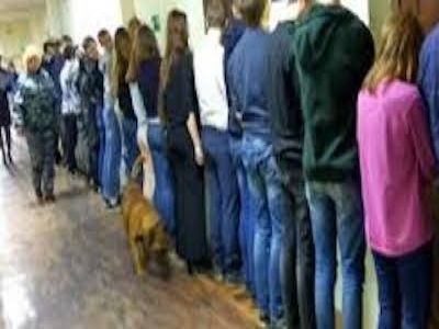 В Сестрорецке полиция со служебной собакой поставила школьников лицом к стенке