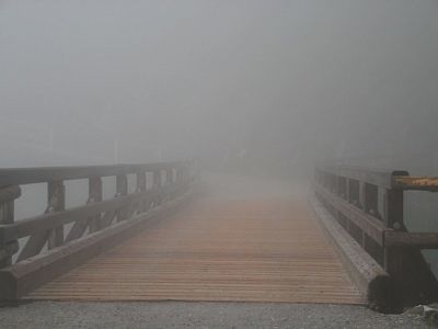 Путь в тумане. Источник - rocknrollyogi.com