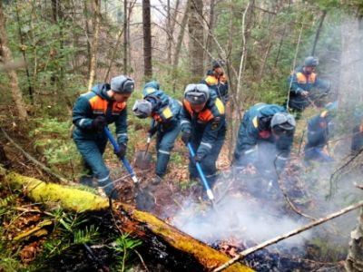 Лесной пожар в Приморье. Фото: 25.mchs.gov.ru