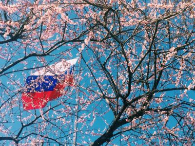 Флаг РФ и цветущая сакура. Источник - emigrados.ru