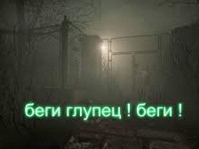 Дома лучше: большинство россиян отказались от переезда за рубеж