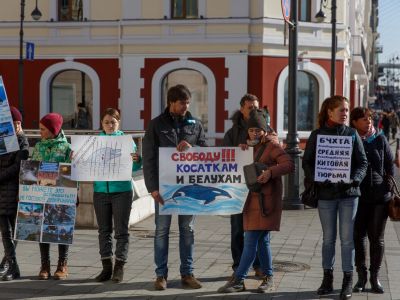 В Москве задержали активистов на согласованном митинге против отлова кастаок