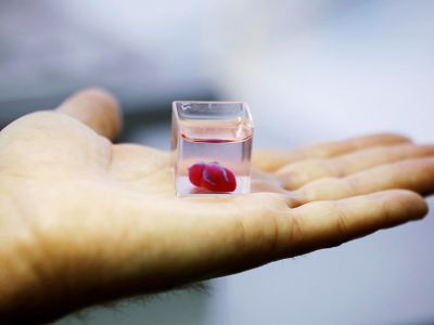 Ученые из Израиля напечатали первое 3D-сердце, используя клетки пациента