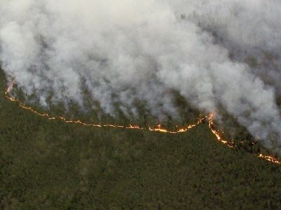 Лесной пожар в Сибири. Фото: ФБУ "Авиалесоохрана"