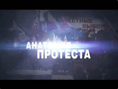 "Анатомия протеста". Фото с сайта forsmi.ru