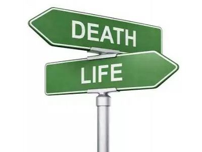 На распутье: смерть или жизнь? Источник - http://www.crichbaptist.org/