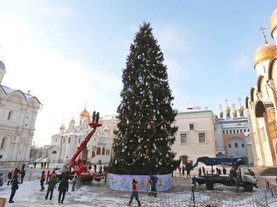 Кремль закупил новогодние елки "супер-премиум-класса" за 3 млн рублей