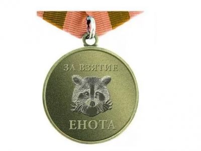 Мем "медаль за взятие енота". Фото: twitter.com/prostokotpersik